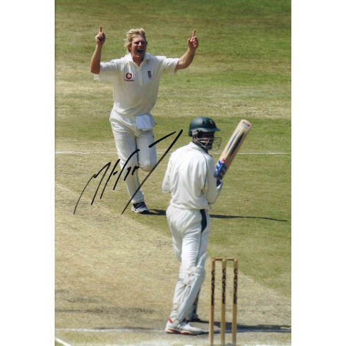 Matthew Hoggard 12x8 Signed Photo!